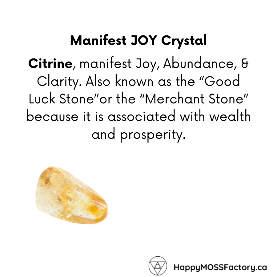 1 ~ Manifest JOY ~ Guided Journal & Moss Art Kit