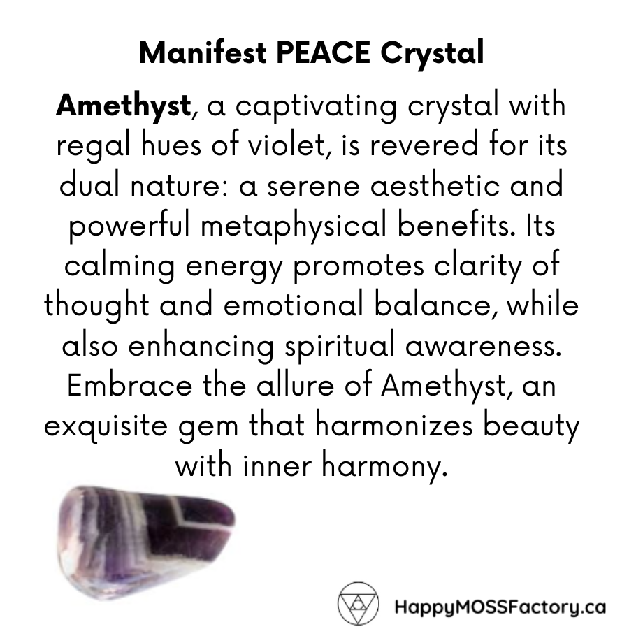 3 ~ Manifest PEACE ~ Guided Journal & Moss Art Kit