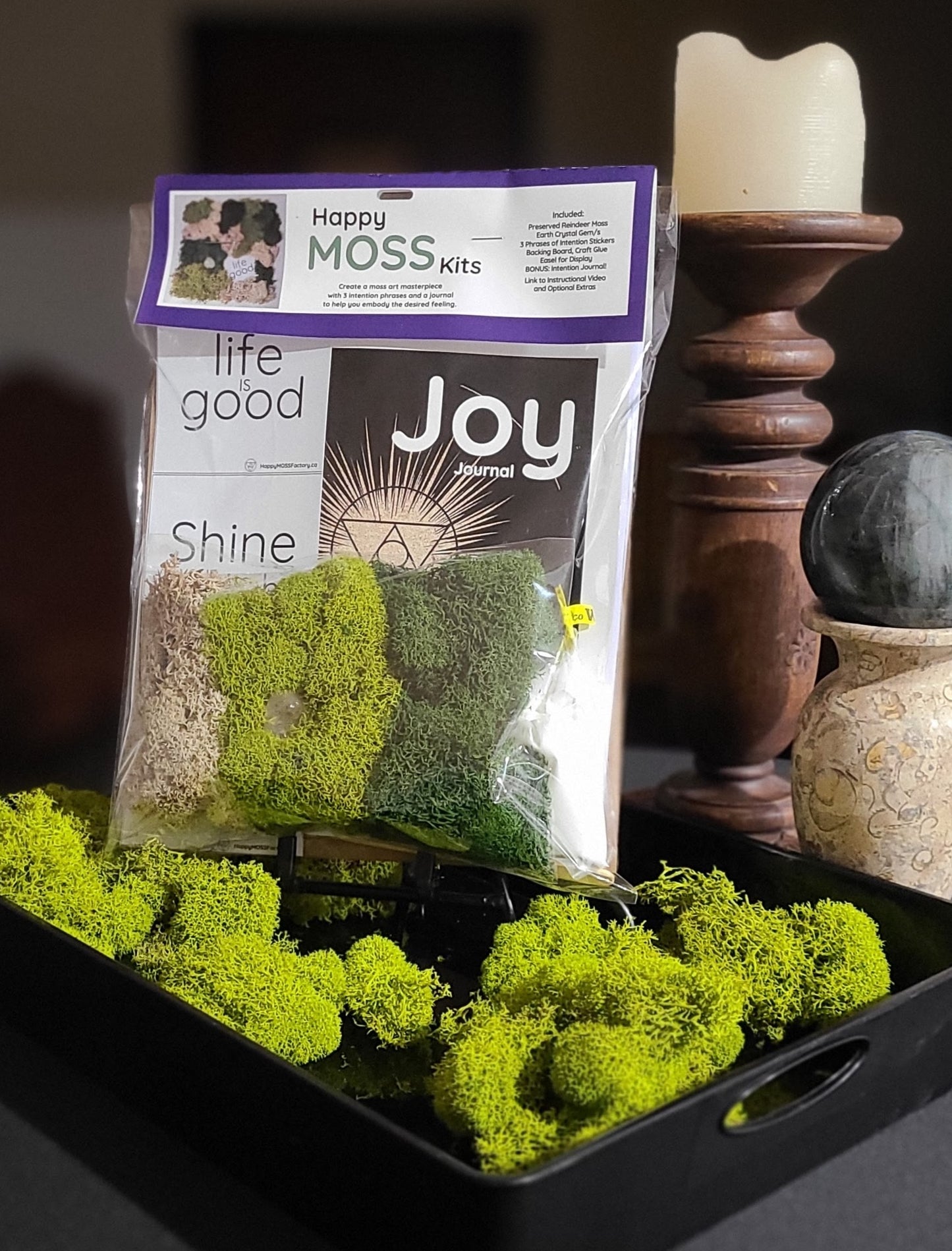 1 ~ Manifest JOY ~ Guided Journal & Moss Art Kit